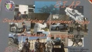 Tessera SIAP anno 2013