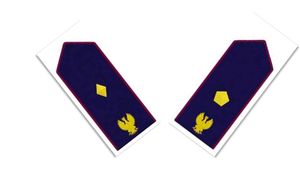 Valutazione titoli concorso interno 2842 Vice Ispettori - Sollecito 