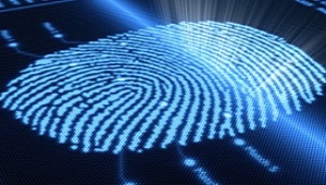 Gabinetto Interregionale Polizia Scientifica (Roma e Ancona) - Esito incontro