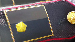 X CORSO VICE ISPETTORI - L\'intervento