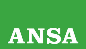 ANSA e altro - MILANO: Aggredisce poliziotti, pena sospesa perchè richiedente asilo. Tiani: basiti da sentenza