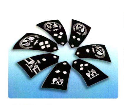 CONVEGNO - La Polizia Penitenziaria del futuro. Quale dirigenza?