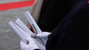 Consiglio per le ricompense per meriti straordinari e speciali