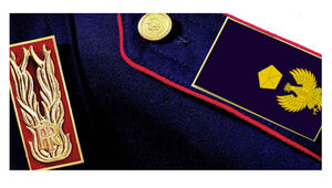 AMPLIAMENTO POSTI 501 VICE ISPETTORE