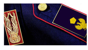 L\'intervento: Concorso 501 Vice Ispettori Idonei non vincitori - Richiesta misure urgenti in deroga