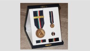 ATTESTATO DI PUBBLICA BENEMERENZA - L\'intervento