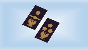 LA BATTAGLIA DEL SIAP IN FAVORE DEGLI ISPETTORI SUPERIORI (ex Ispettori Capo)