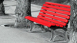 #25Novembre - Giornata internazionale contro la violenza sulle donne