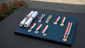 Commissioni Ricompense