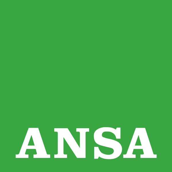 ANSA - Sicurezza: Tar,ok esclusione Condor gara Taser forze polizia