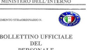 Dotazioni organiche dei settori d\'impiego e dei profili professionali dei ruoli e della carriera dei funzionari tecnici 