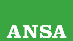 Ansa - Sindacato CC d\'accordo con Gabrielli su coordinamento