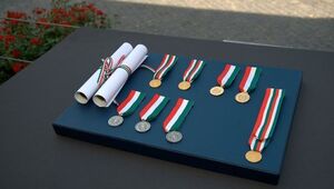 Consiglio per le ricompense per meriti straordinari e speciali