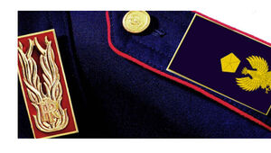 SCORRIMENTO CONCORSI INTERNI PER VICE ISPETTORI Congratulazioni ai nuovi Vice Ispettori