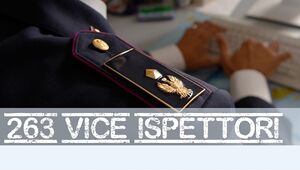 501 V. Ispettori  e 263 V. Ispettori 