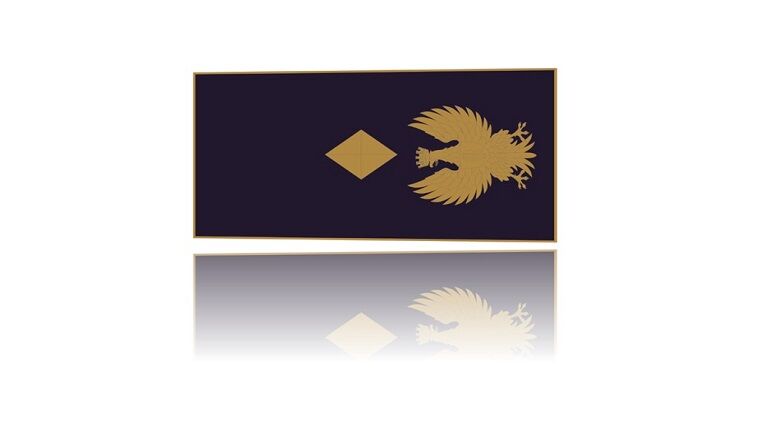 Concorso interno, per titoli, per 519 posti di Vice Sovrintendente 