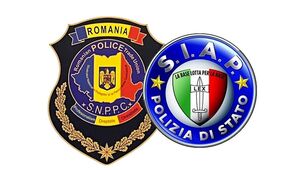 Il SIAP e il confronto europeo 