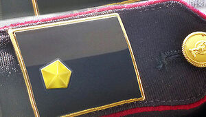 Concorso interno 411 Vice Ispettori - avvio procedure assegnazione