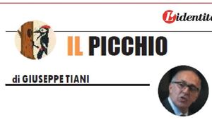 Il Picchio - Indagine sul taser 