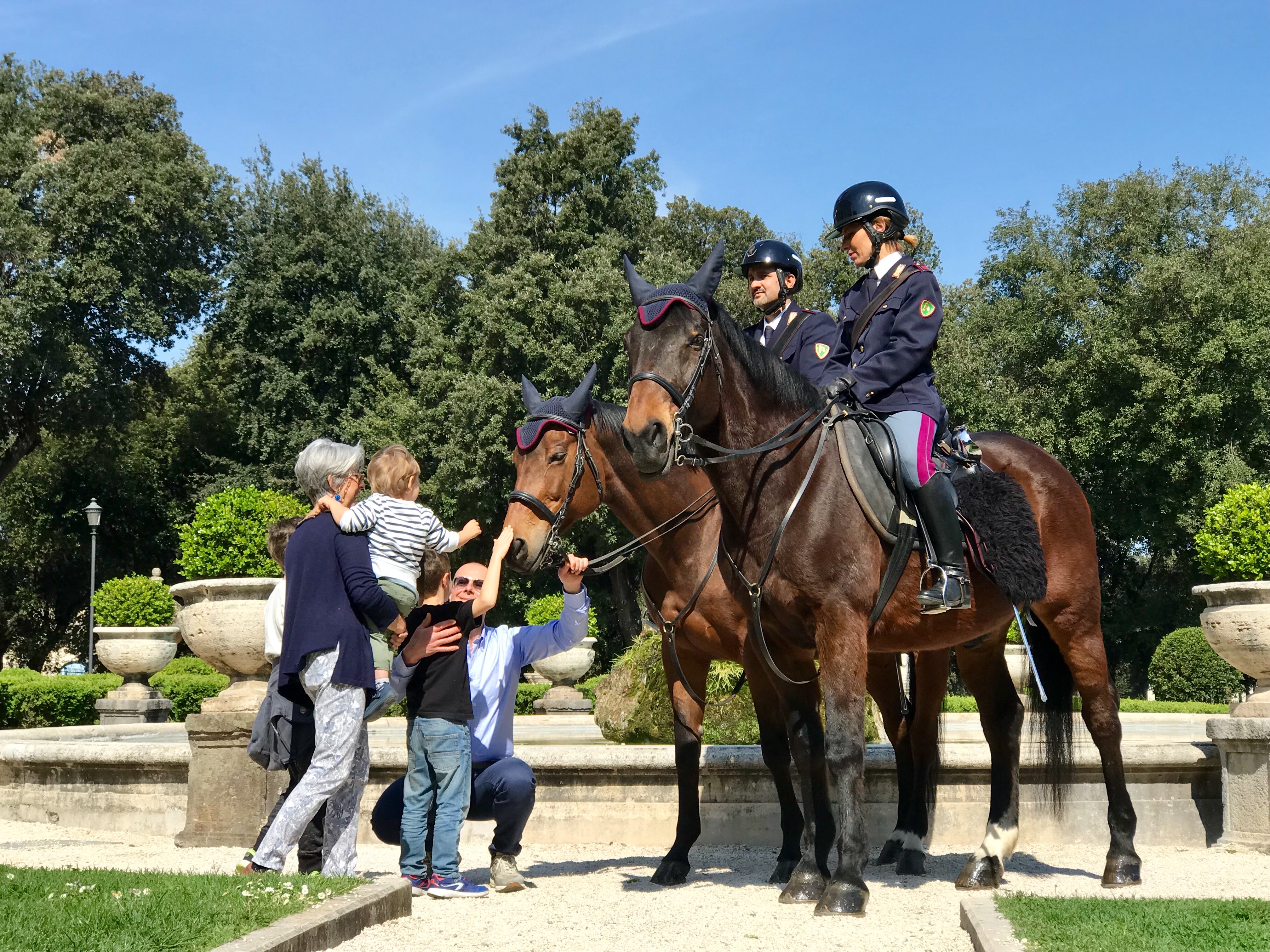 34°corso specializzazione cavalieri