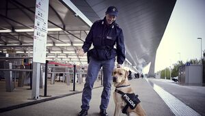 10° Corso conduttore cinofilo