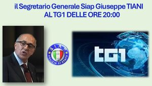 Manifestazioni per Gaza e violenza contro le forze di Polizia - Tiani al TG1