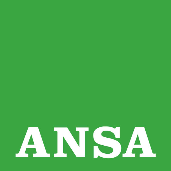 ANSA - No Tav: Mauri (Pd), il governo chiarisca cosa non ha funzionato 