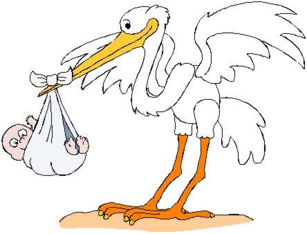 E' ARRIVATA UNA BIMBA !