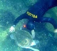 Incontro con il Direttore del C.N.E.S.