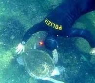 Incontro con il Direttore del C.N.E.S.