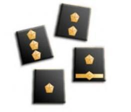 Commissione per il Personale del Ruolo Ispettori