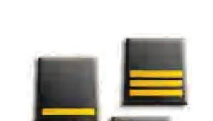 Concorso interno a 136 posti, successivamente elevati a 336, posti per Vice Sovrintendente