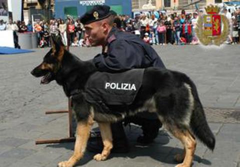 DAL NUOVO ANNO SI PROSPETTA L'APPLICAZIONE DELLA NUOVA CIRCOLARE SULLA MOBILITA' 