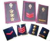 RIORDINO DELLE CARRIERE. 