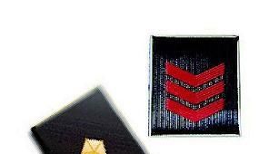 Tavolo di lavoro riordino dei ruoli della Polizia di Stato