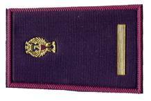 LA COOERENZA SINDACALE AL SERVIZIO DEI POLIZIOTTI