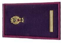 LA COOERENZA SINDACALE AL SERVIZIO DEI POLIZIOTTI