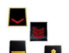 BOZZA DEI PRINCIPI LEGGE DELEGA RIORDINO: le osservazioni e proposte del SIAP, emendative al testo