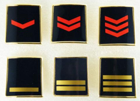 Riordino dei Ruoli della Polizia di Stato