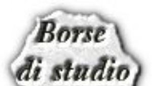 BORSA DI STUDIO INPS