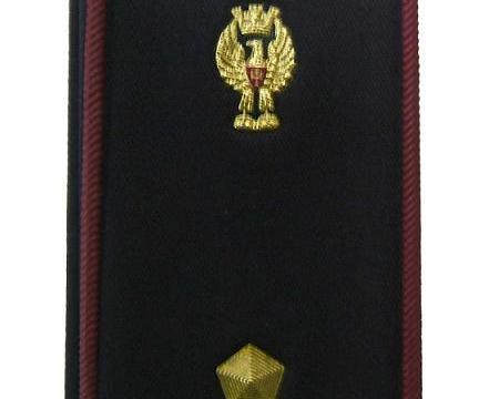 CONCORSO INTERNO, PER TITOLI DI SERVIZIO ED ESAMI, PER 1000 POSTI DA VICE ISPETTORE DELLA POLIZIA DI STATO 