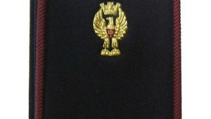 Concorso interno, per titoli di servizio ed esami, per 1000 posti da Vice Ispettore - Bozza 