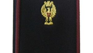 CONCORSO INTERNO, PER TITOLI DI SERVIZIO ED ESAMI, PER 1000 POSTI DA VICE ISPETTORE DELLA POLIZIA DI STATO 