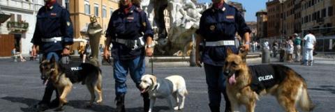  2° CORSO DI QUALIFICAZIONE PER CONDUTTORI CINOFILI 