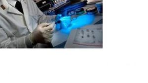 8&deg; CORSO DI FORMAZIONE PER VICE REVISORE DELLA POLIZIA DI STATO 