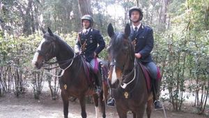 Scuola per i servizi di Polizia a cavallo di Foresta Burgos - riconoscimento sede disagiata