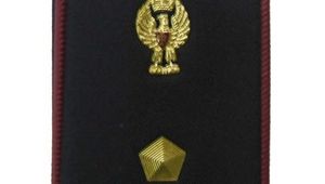 SCRUTINIO PER MERITO COMPARATIVO. CONFERIMENTO DELLA QUALIFICA DI ISPETTORE SUPERIORE