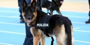 Circolare conduttore 24&deg; corso cinofili antidroga e artificiere I.E.D.D.