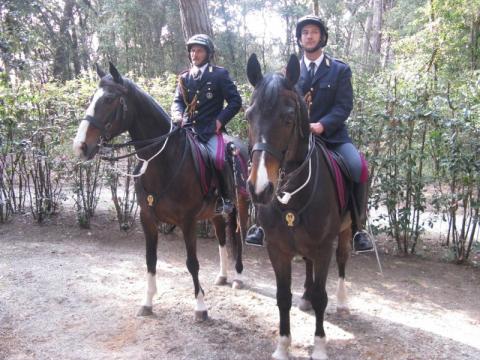 Scuola per i servizi di Polizia a cavallo di Foresta Burgos - riconoscimento sede disagiata