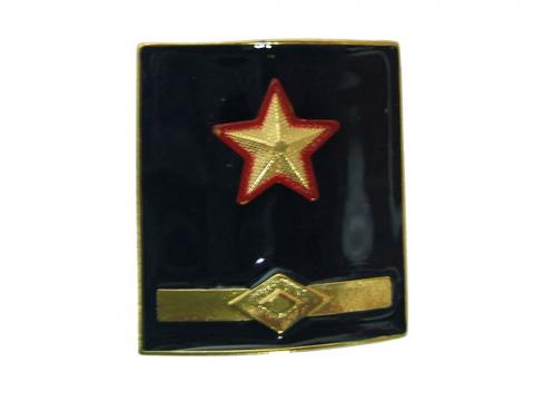 ATTRIBUZIONE della DENOMINAZIONE di "SOSTITUTO DIRETTORE TECNICO"